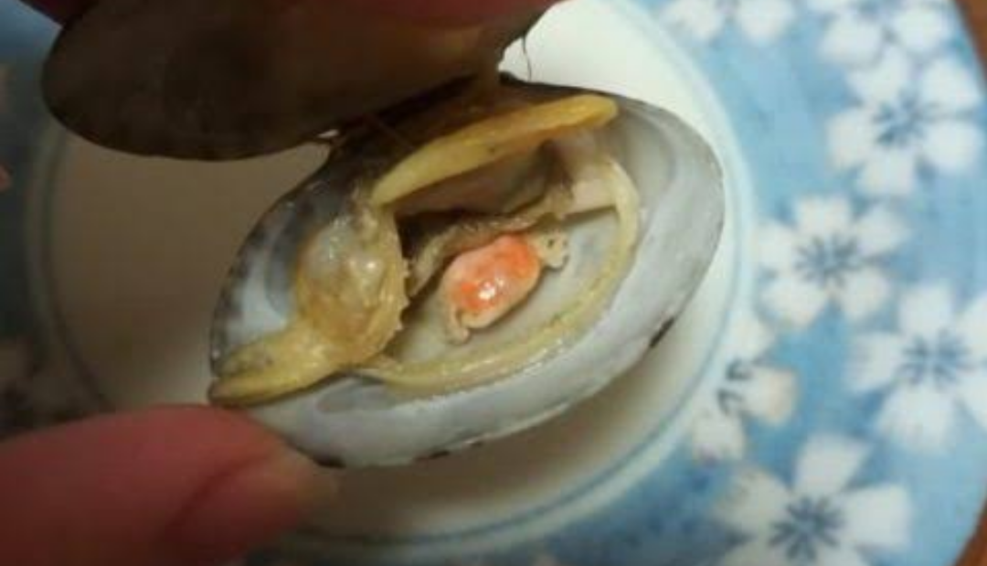 食べ物にまつわる怖い思い出 【閲覧注意】part2