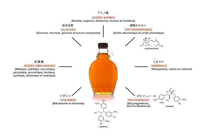 【滋養強壮】世界の栄養価の高い料理
