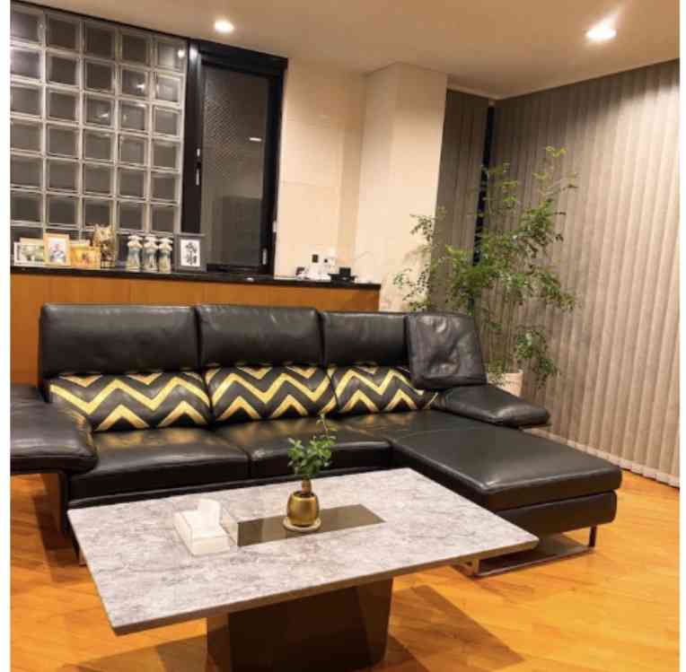 堀ちえみ　急きょ引っ越すことになった理由明かす「全てをお話しできてスッとしました」