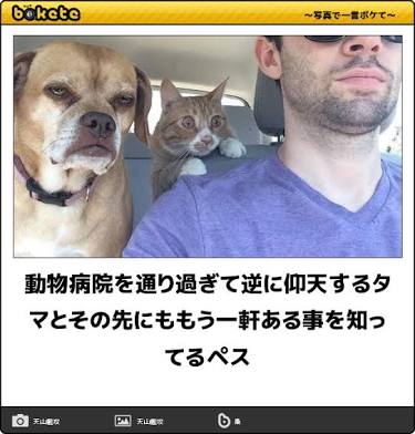 誰か私を笑わせてくださいpart4