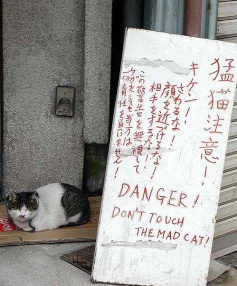 誰か私を笑わせてくださいpart4