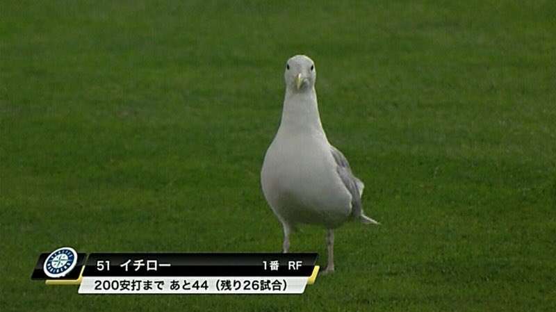 誰か私を笑わせてくださいpart4