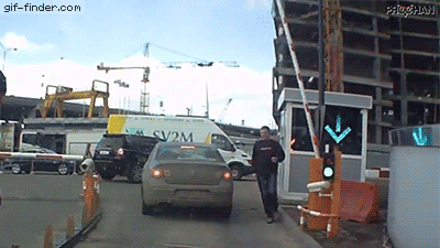 元気がない時見る画像