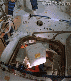 元気がない時見る画像