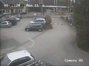 元気がない時見る画像