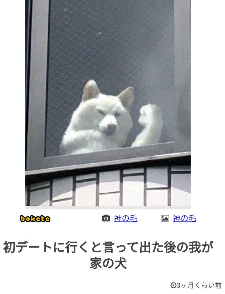 元気がない時見る画像