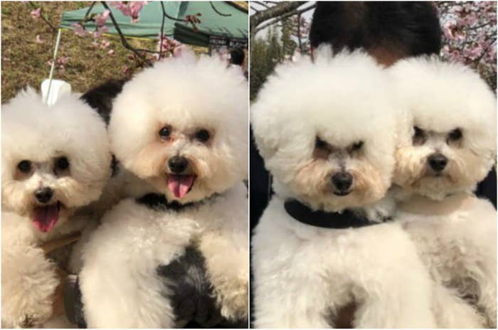 元気がない時見る画像