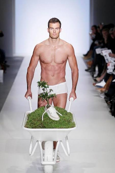 元気がない時見る画像