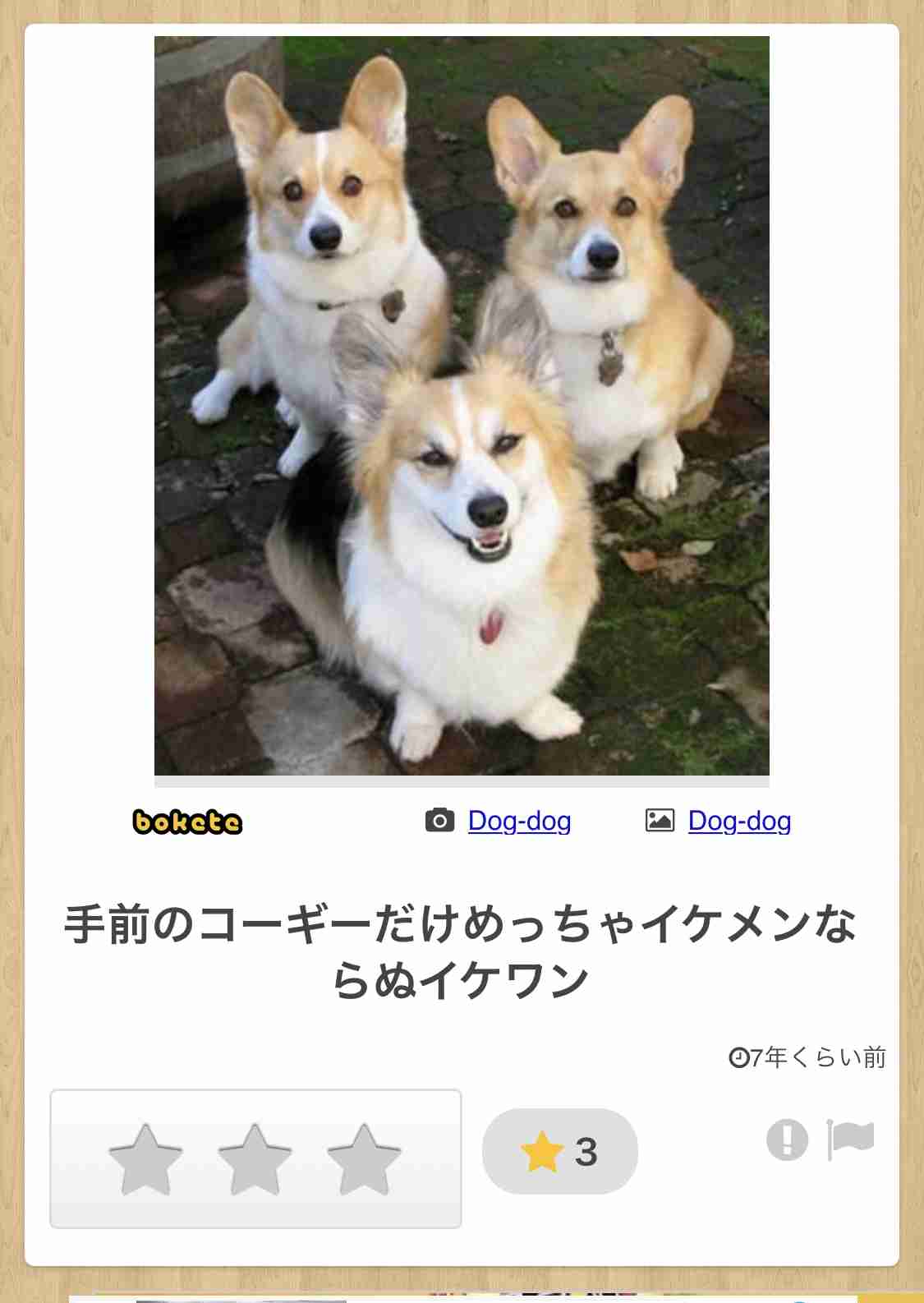 元気がない時見る画像