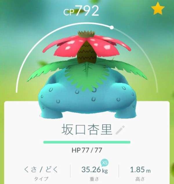 元気がない時見る画像