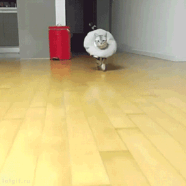 元気がない時見る画像