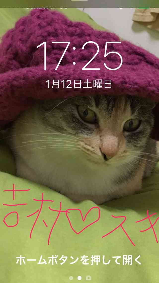 アミューズ初の男性アイドル誕生 新潟出身17歳「声震えて、出ないです」