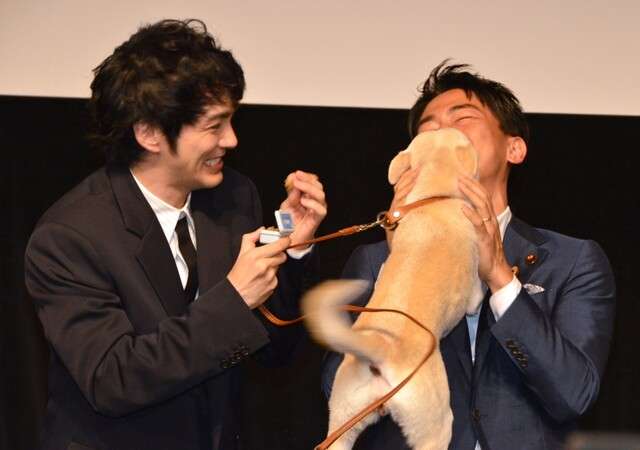 環境省とアマゾンが犬猫譲渡支援プロジェクトで提携…小泉環境大臣「譲渡が当たり前の世界に」