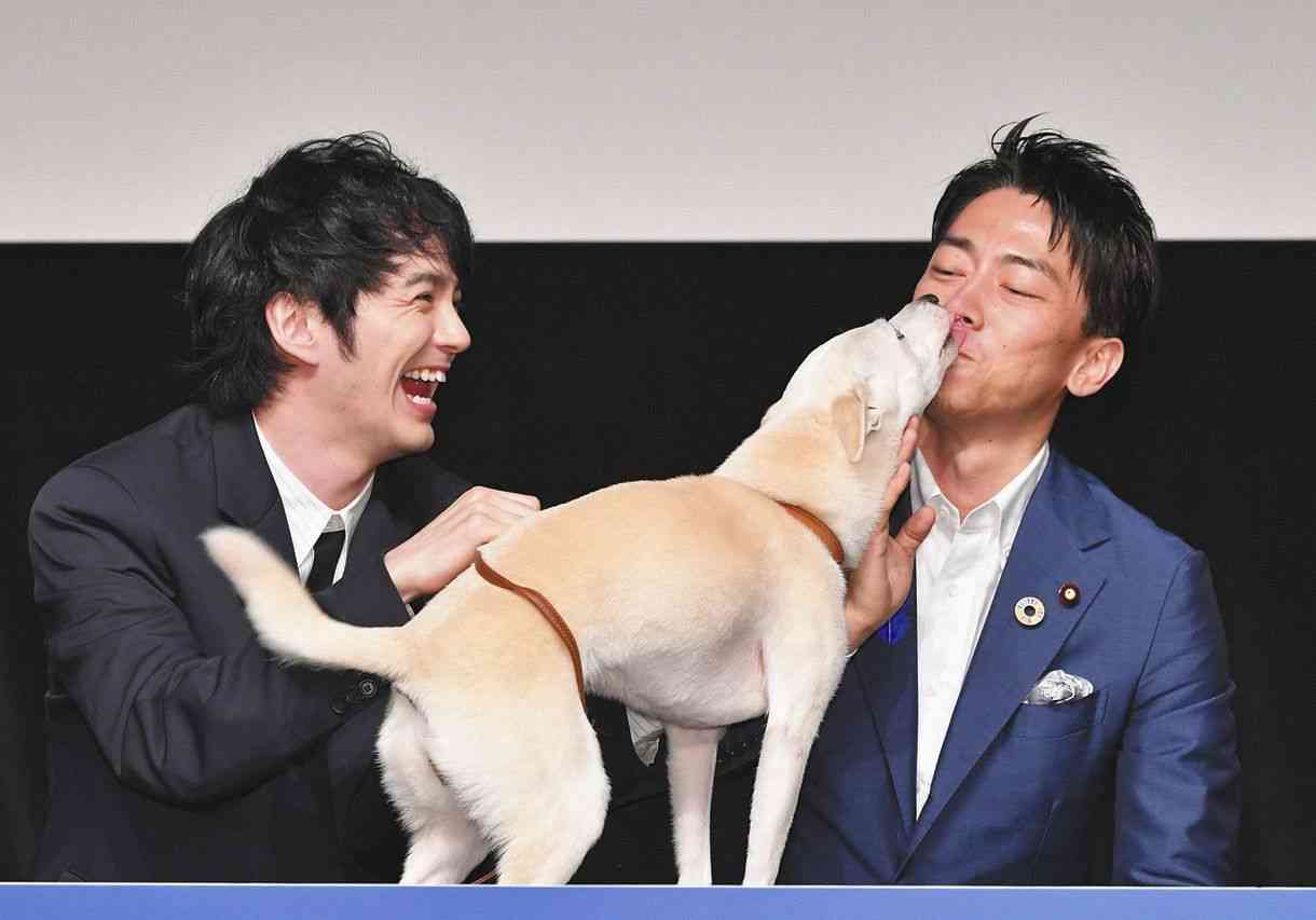 環境省とアマゾンが犬猫譲渡支援プロジェクトで提携…小泉環境大臣「譲渡が当たり前の世界に」