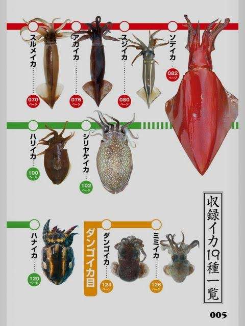 魚以外の魚介類が好きな方