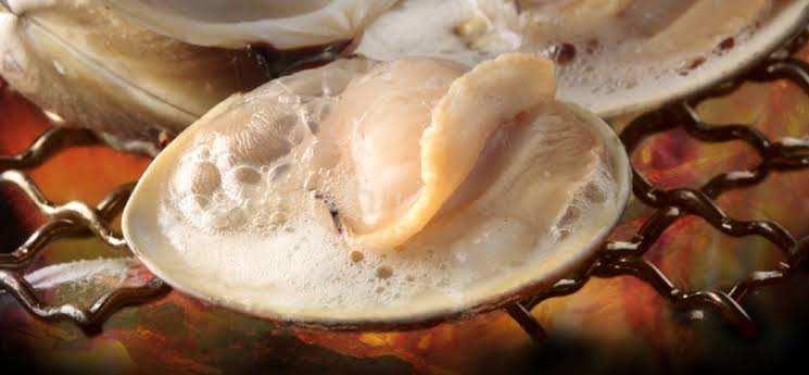 魚以外の魚介類が好きな方