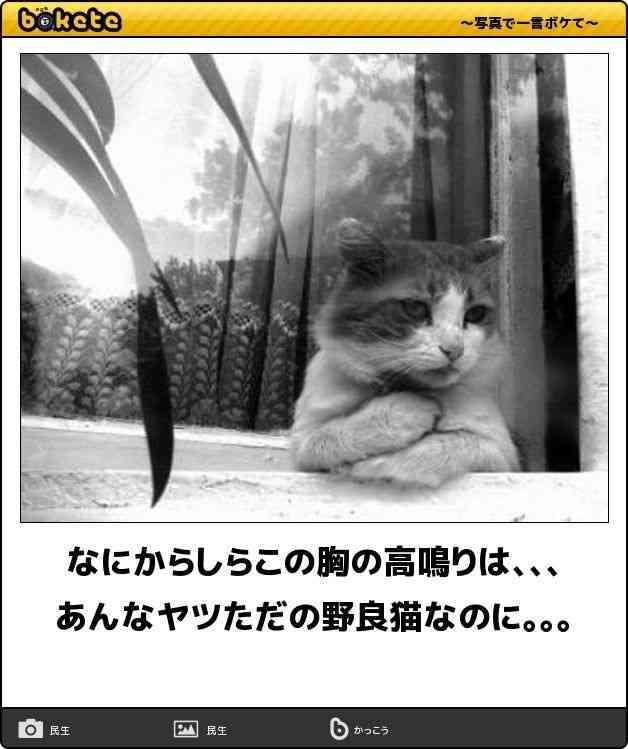 恋のはじまりを表現して！💕