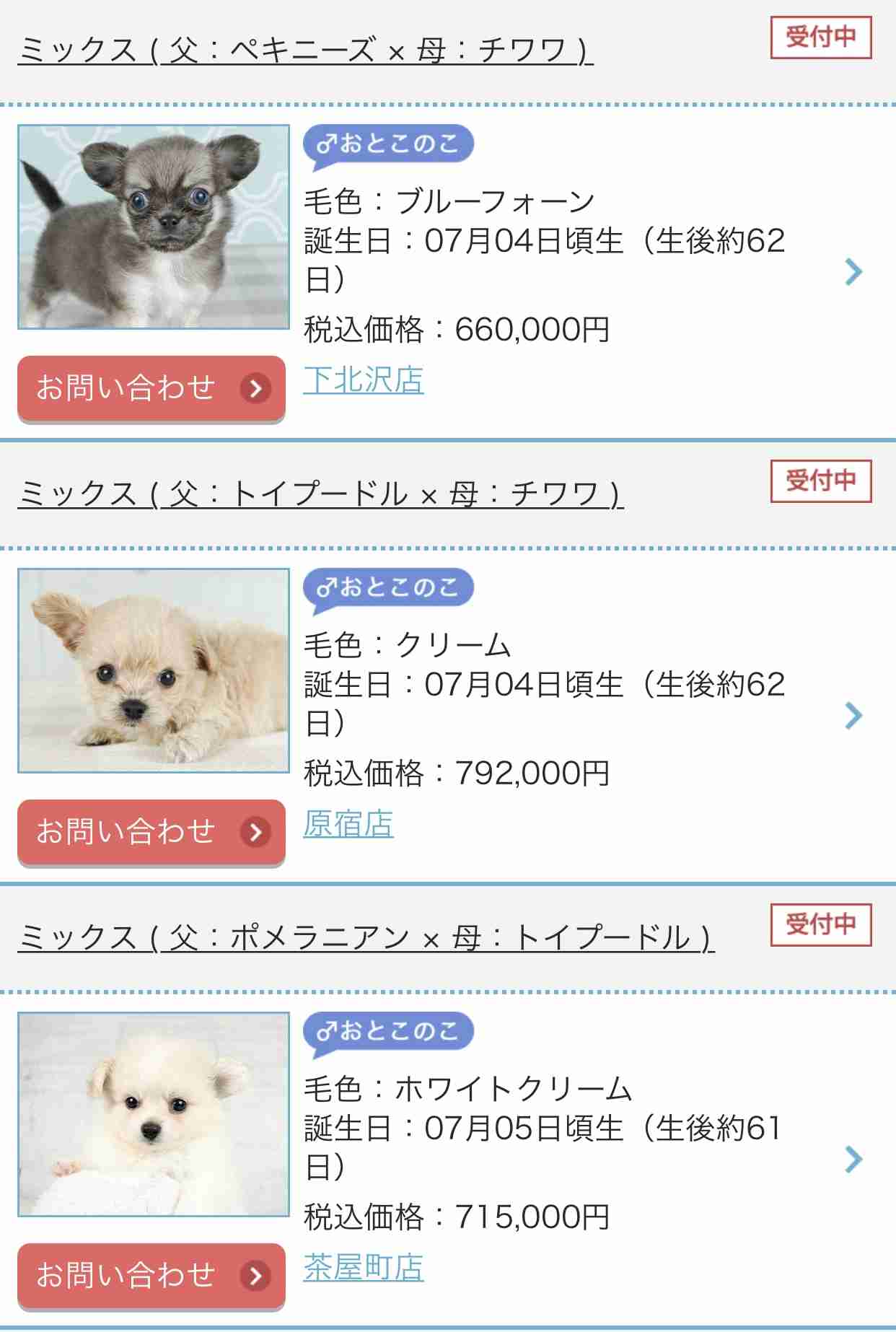 約1000匹の犬を飼育・繁殖か 劣悪な環境…ペット業者を捜査 従業員「犬は一生ケージの中で」