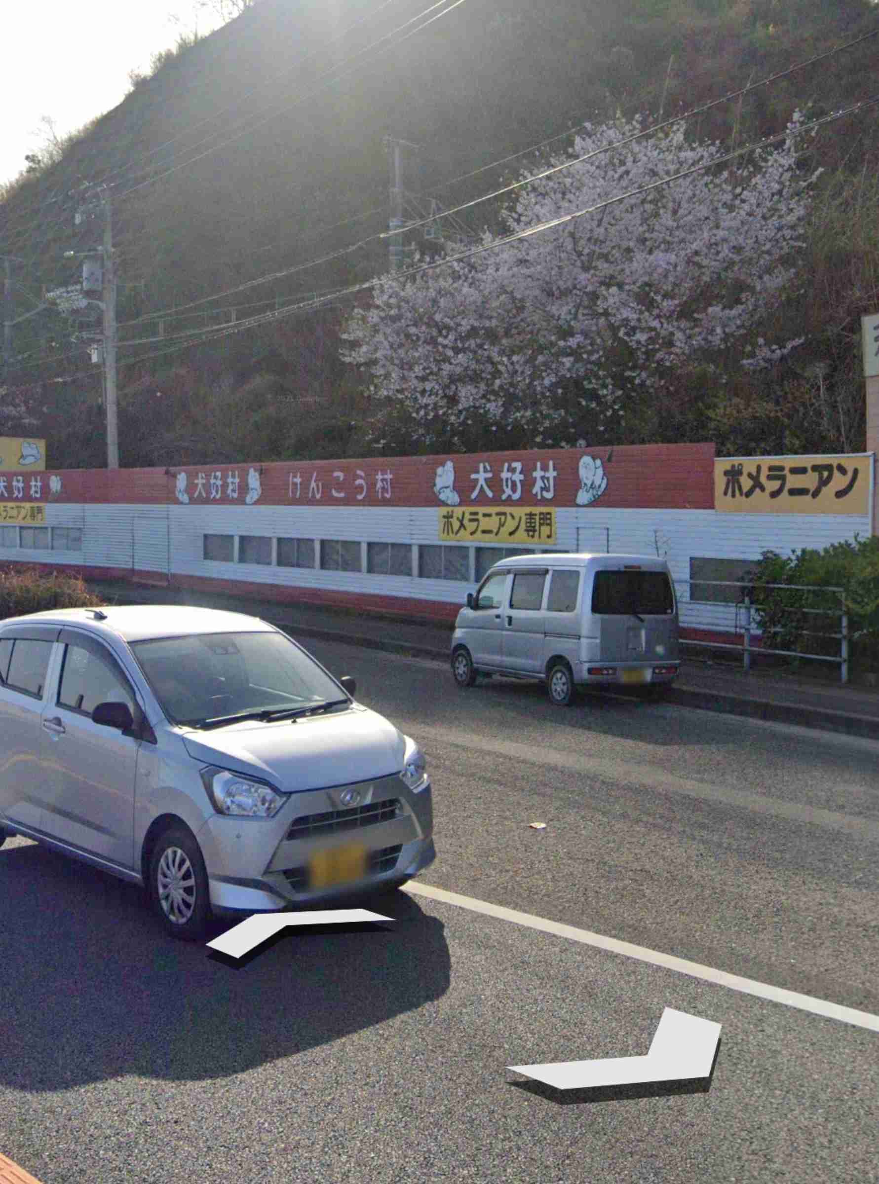 約1000匹の犬を飼育・繁殖か 劣悪な環境…ペット業者を捜査 従業員「犬は一生ケージの中で」