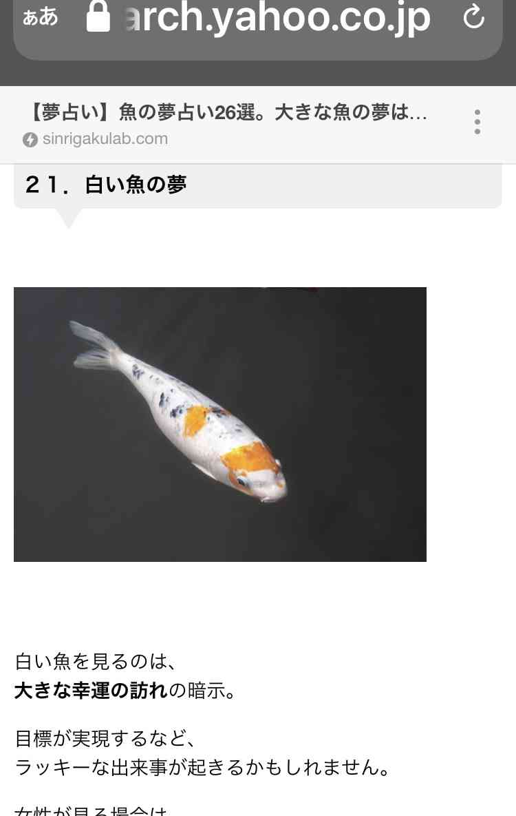 【秋の夜長】ガル民が実際に経験した不思議体験を聞きたい