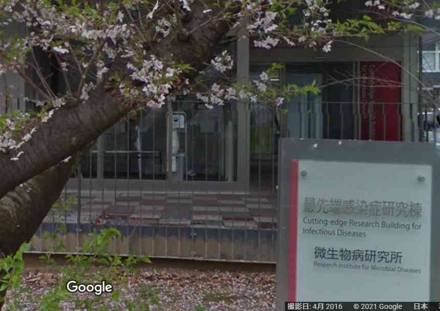 コロナ新規感染急減の理由は?ウイルスの「生存戦略」という見方も