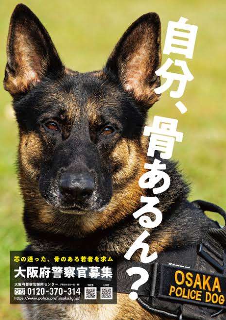 好きな関西弁は？