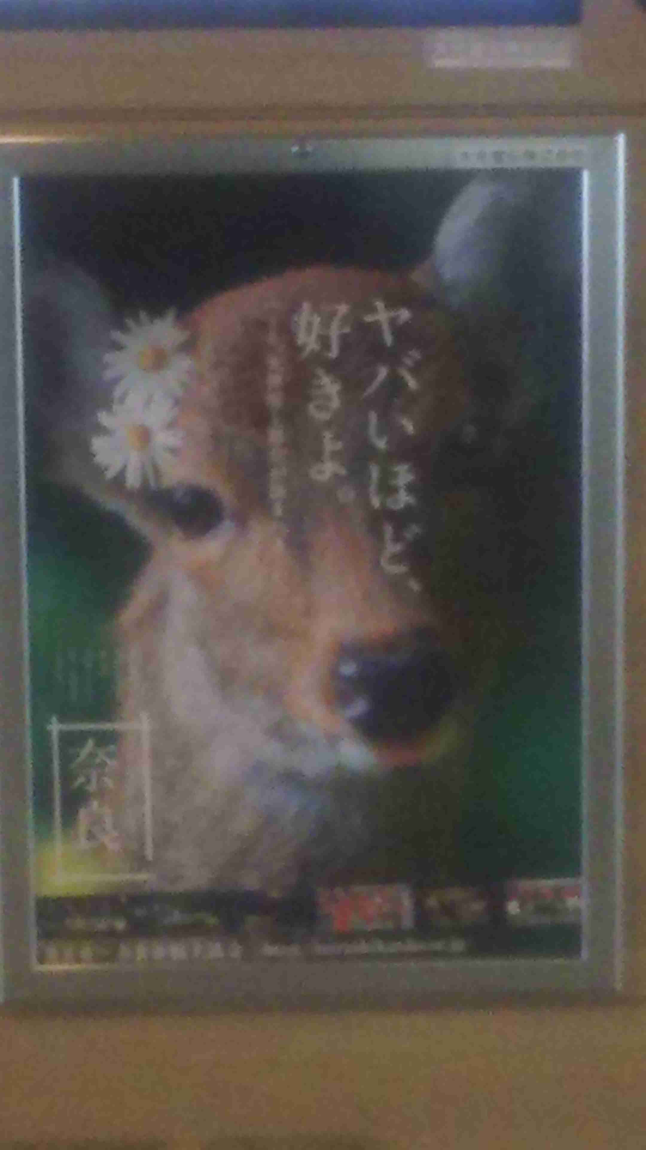 好きな関西弁は？