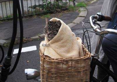 今日のコーデ教えて！