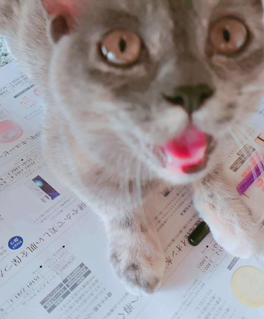 幸せ自慢してください\(^o^)/