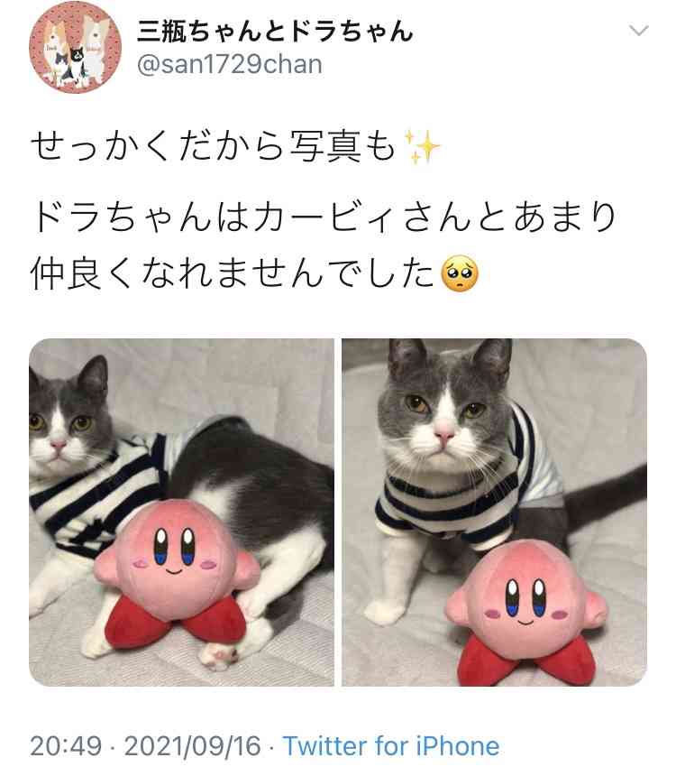 横浜流星さん好きな人 Part３
