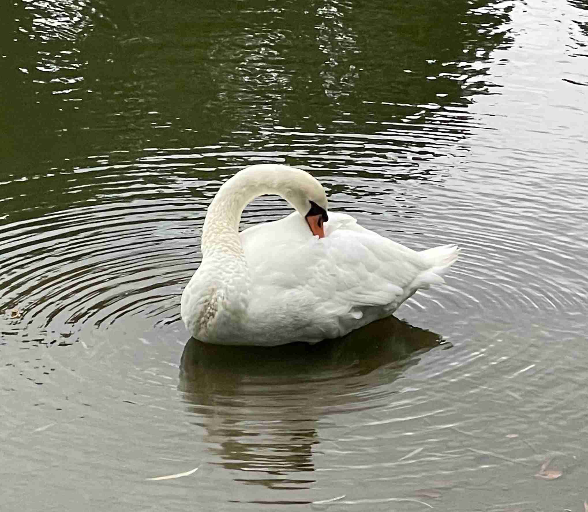 東京都民にしか分からないこと