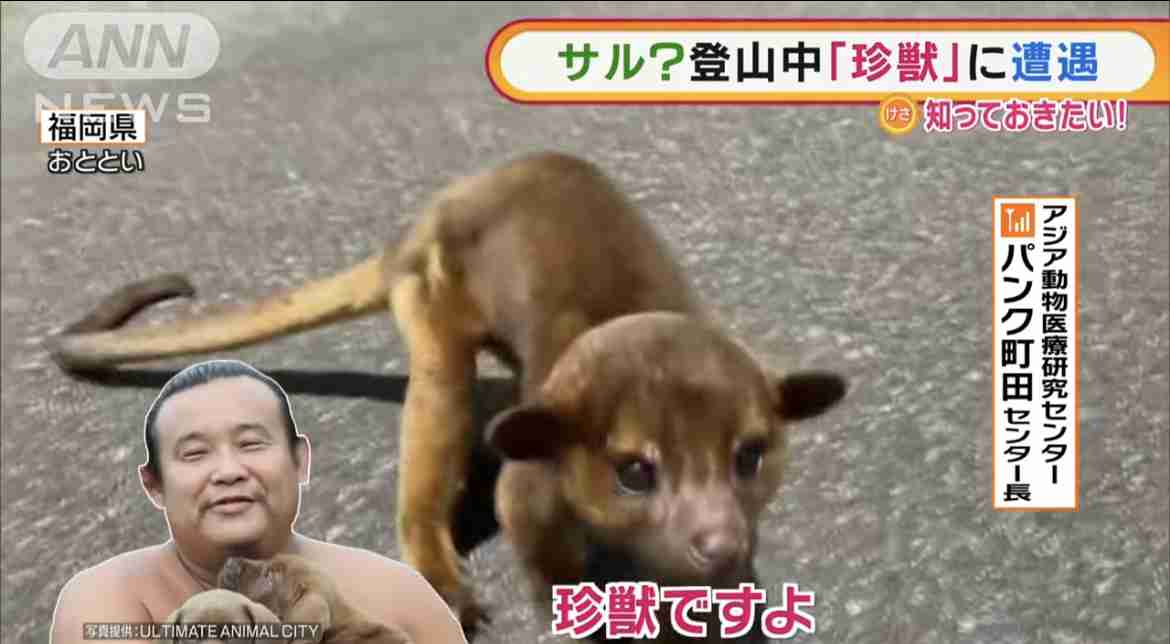 浮世離れしてる人