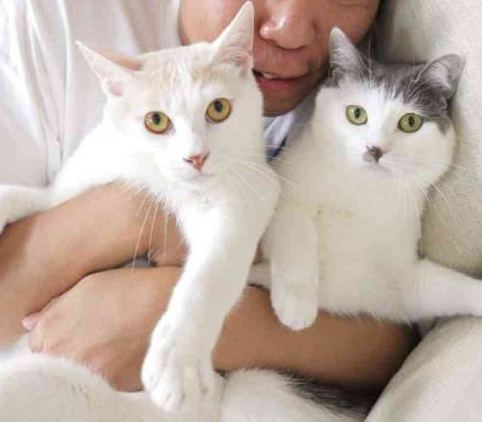 本当の中身は知らないけど、単純に見てて「いい奴そう」って思う有名人