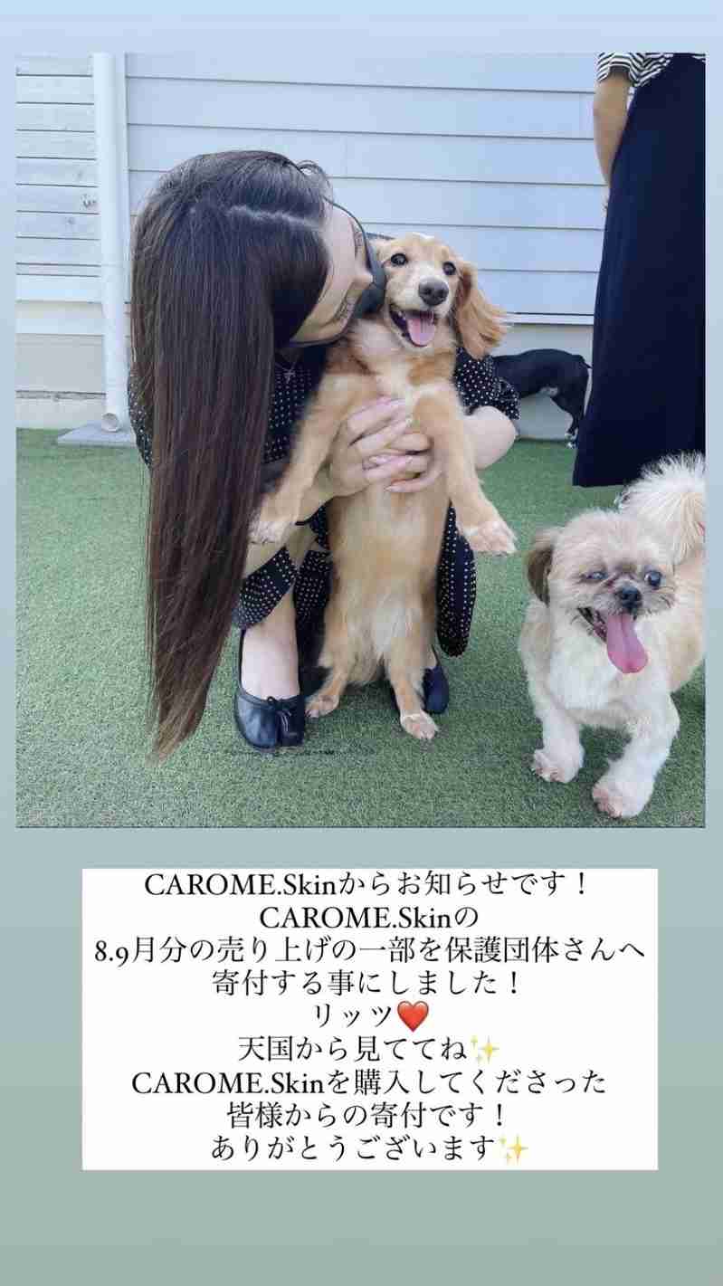 ダレノガレ明美が元保護犬の死と悪徳ブリーダーに怒り「子供が産めなくなった瞬間ポイされた」