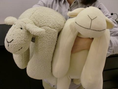 おすすめの抱き枕、ぬいぐるみ！