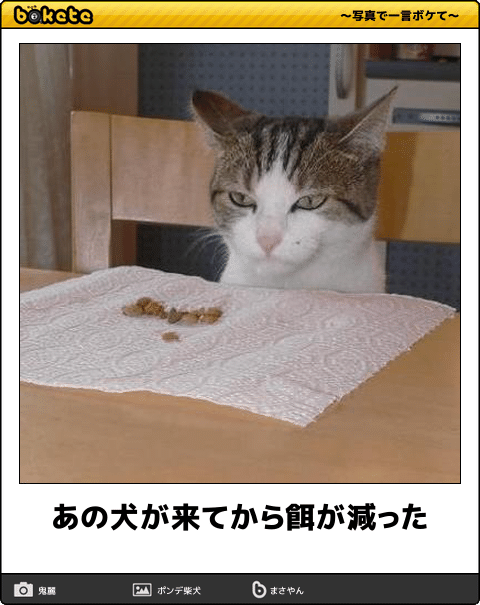 【自炊限定】貧乏人なのに、食にこだわりがある人集合