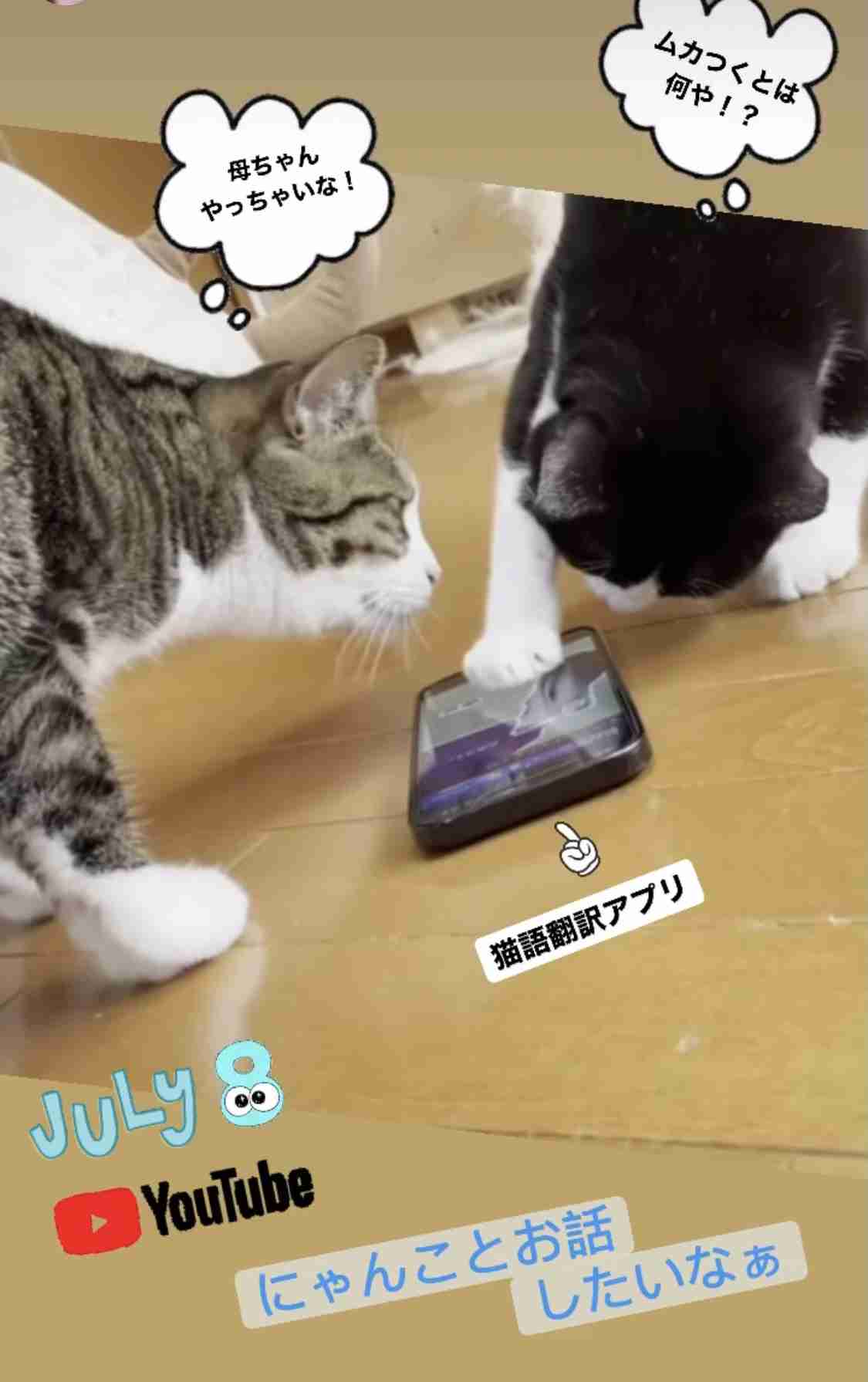ペットのお手柄