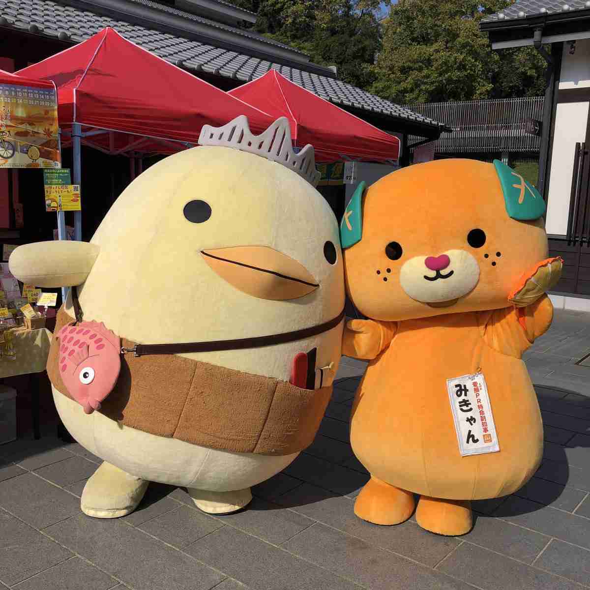 四国のガル民にいろいろ聞いてみるトピ part2