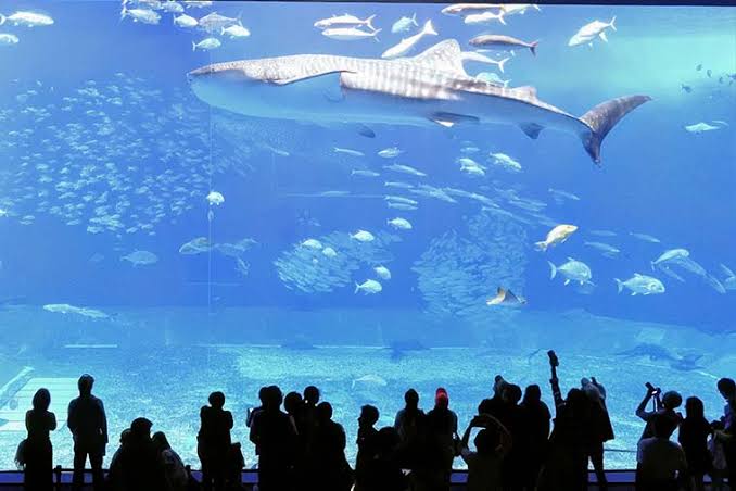 観光地の画像を貼ってどこかわかればプラス
