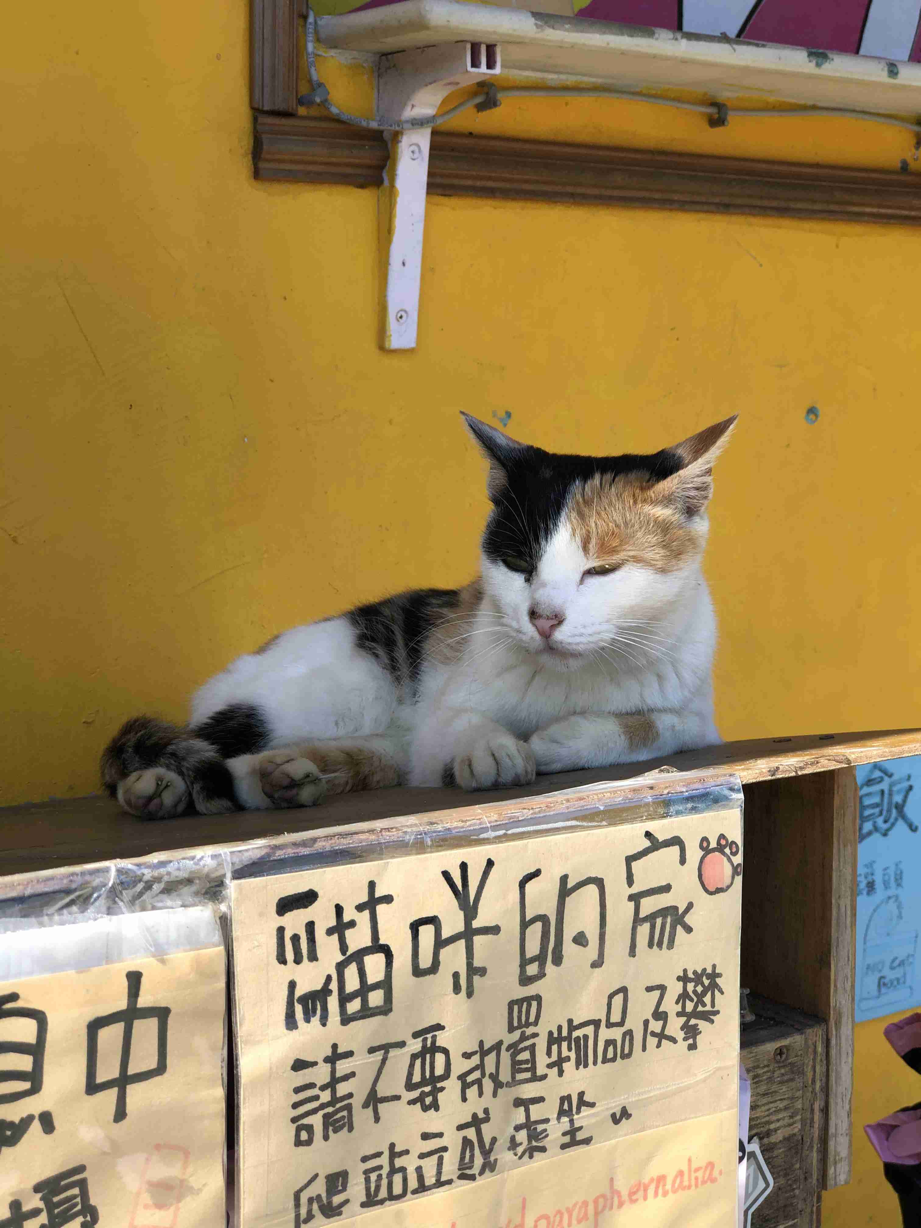 観光地の画像を貼ってどこかわかればプラス