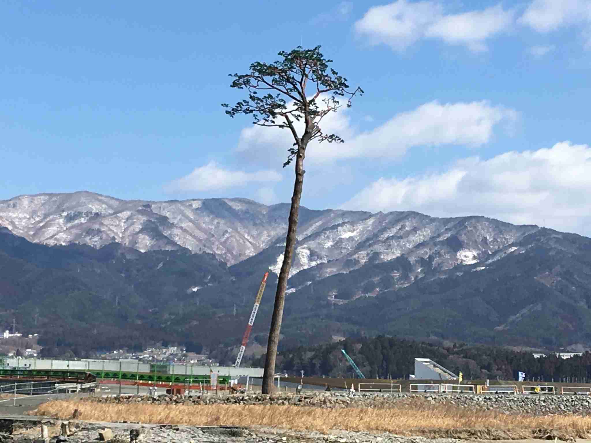 観光地の画像を貼ってどこかわかればプラス