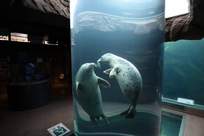 観光地の画像を貼ってどこかわかればプラス
