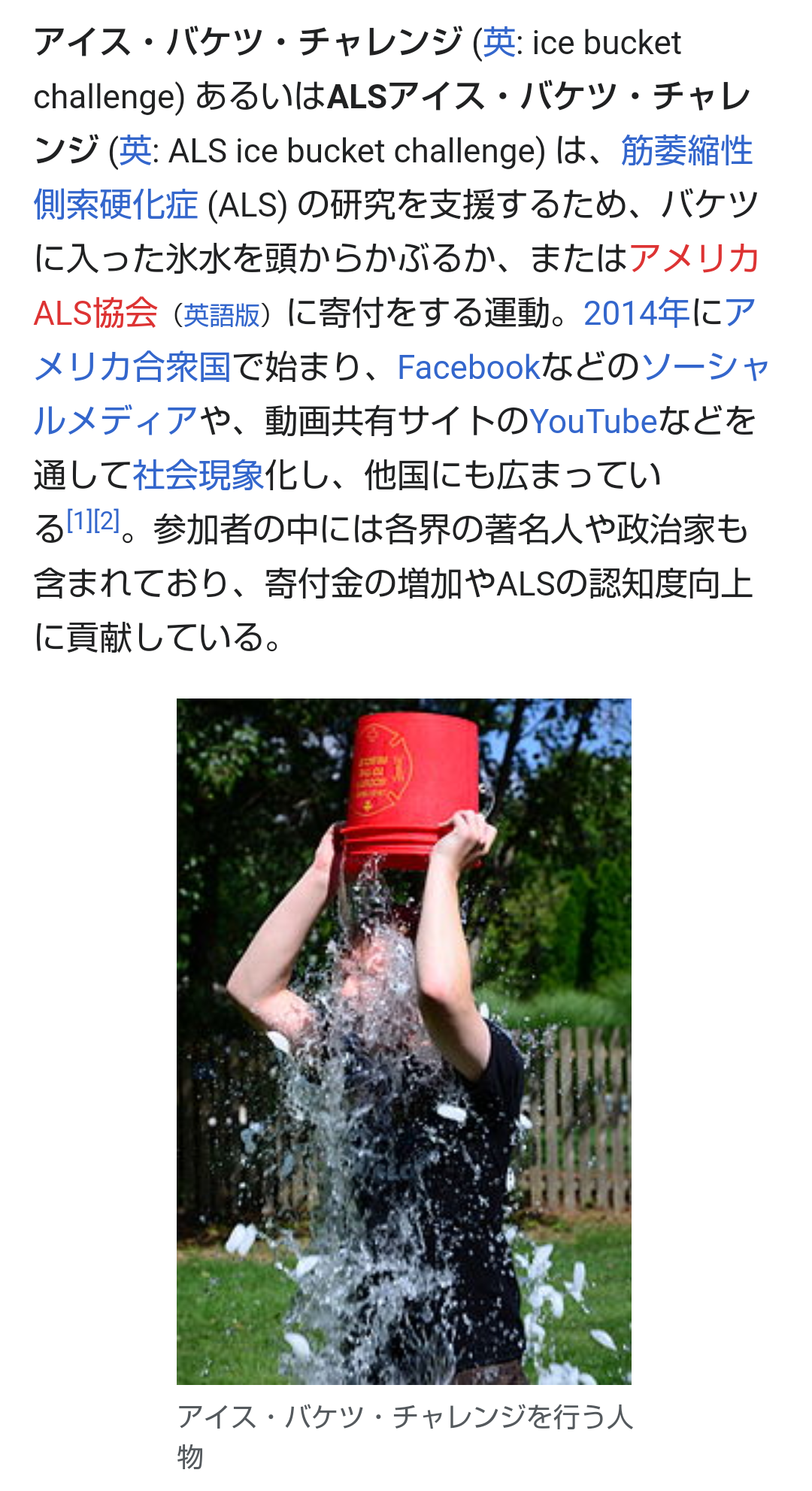 そういえばSNSでそんなのバズってたなぁ～ということ