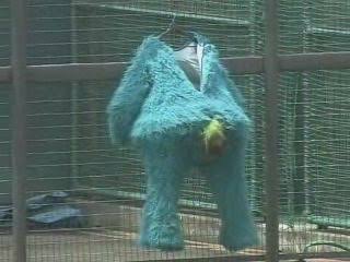 ⚾️野球選手とマスコットの交流が見たい⚾️