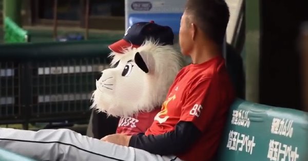 ⚾️野球選手とマスコットの交流が見たい⚾️