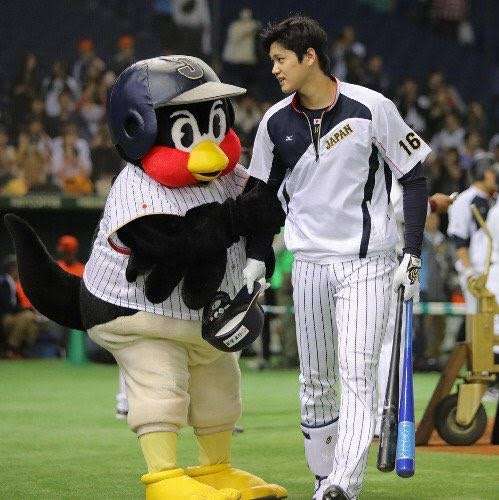 ⚾️野球選手とマスコットの交流が見たい⚾️