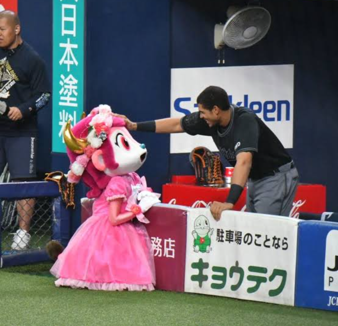 ⚾️野球選手とマスコットの交流が見たい⚾️