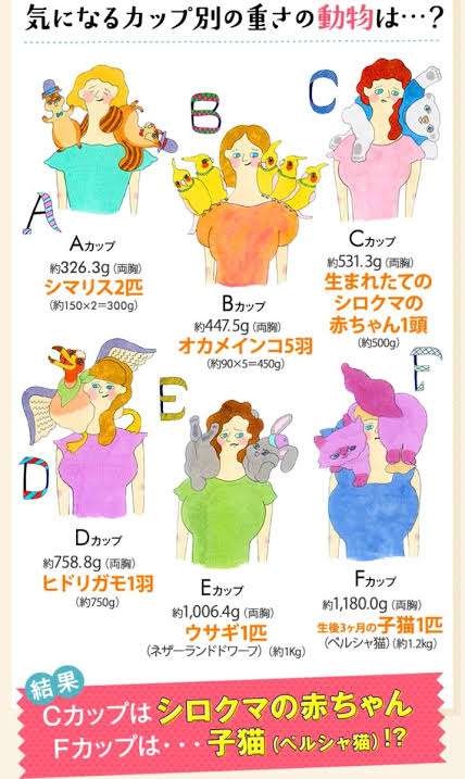 大金かけFカップ巨乳の縮小手術した女性　9ヶ月後に元のサイズに逆戻り（米）