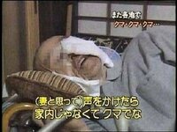 79歳男性　散歩中クマに襲われけが／岩手・北上市