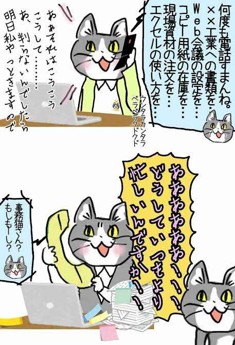 職場で新人の立場の方!愚痴りませんか!?